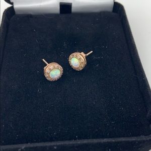 Beautiful Opal Earrings🦋🌈